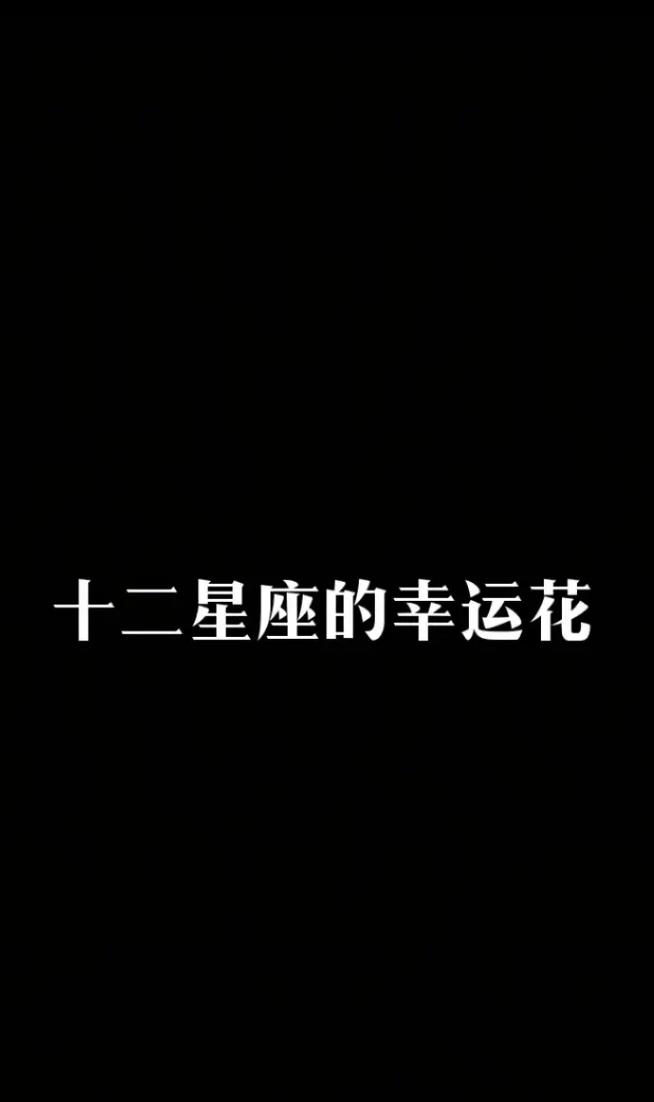 12星座谁是好运连连 十二星座拥抱好运