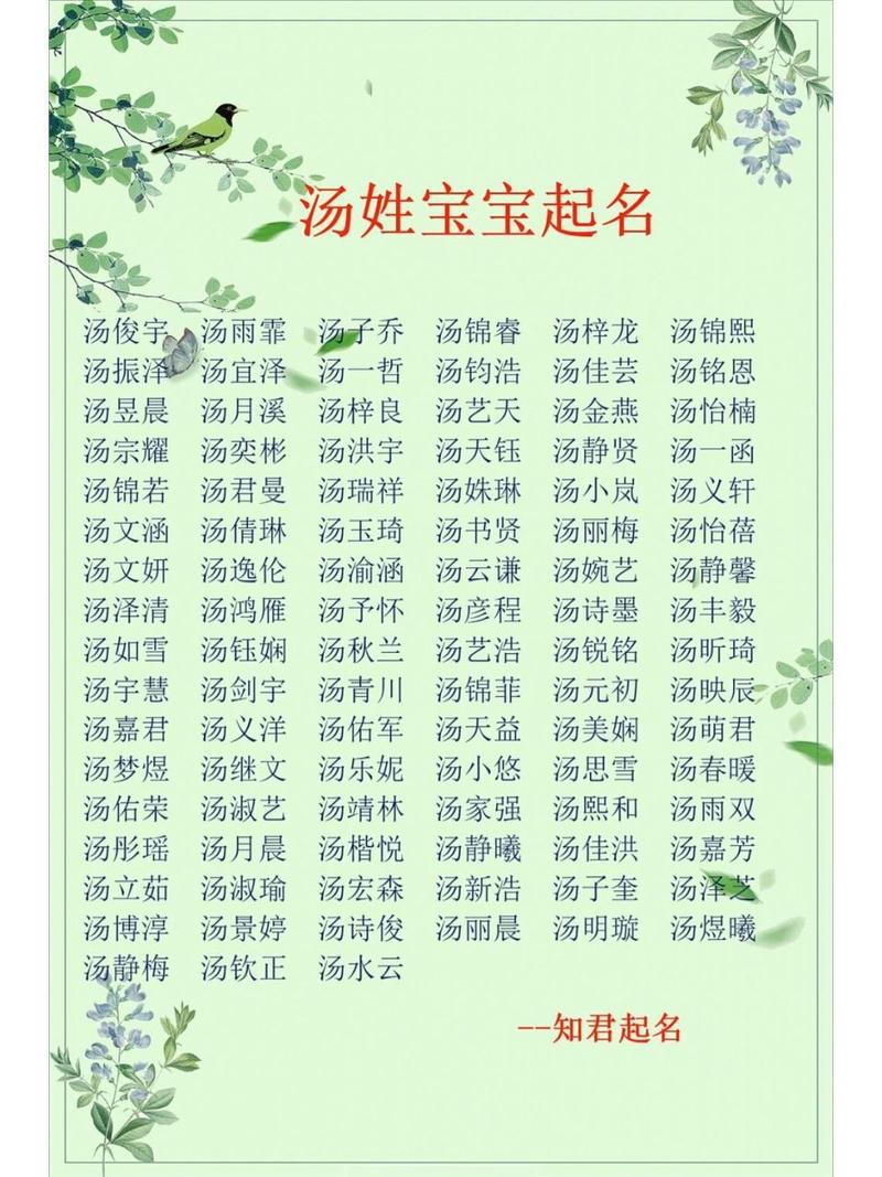 宝宝起名打分姓汤女 汤姓男宝宝取名大全两字