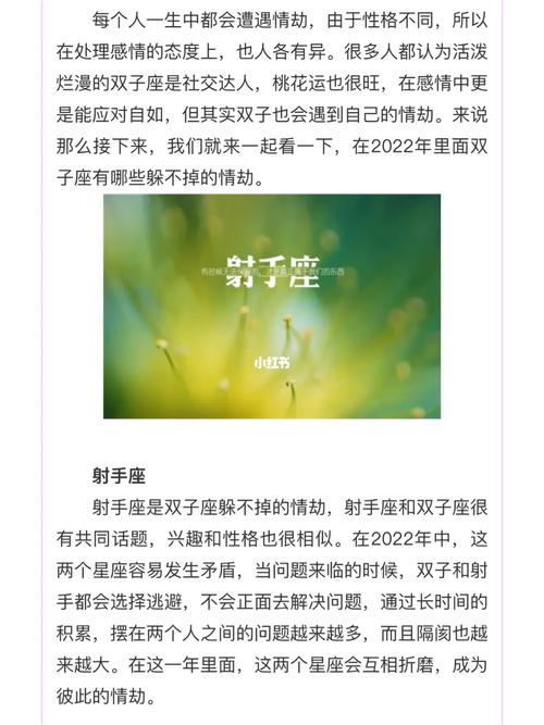 2024双子座躲不过的情劫星座 双子座2024下半年情劫