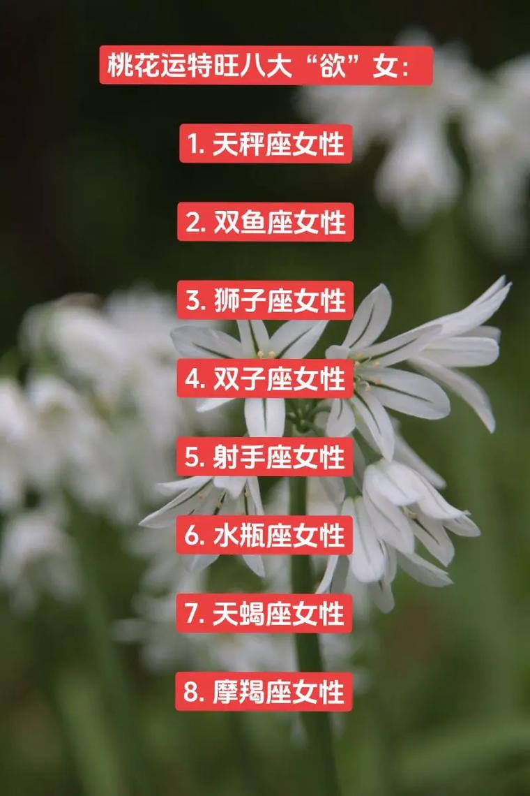 增强桃花运的星座女生 12星座的桃花运最好