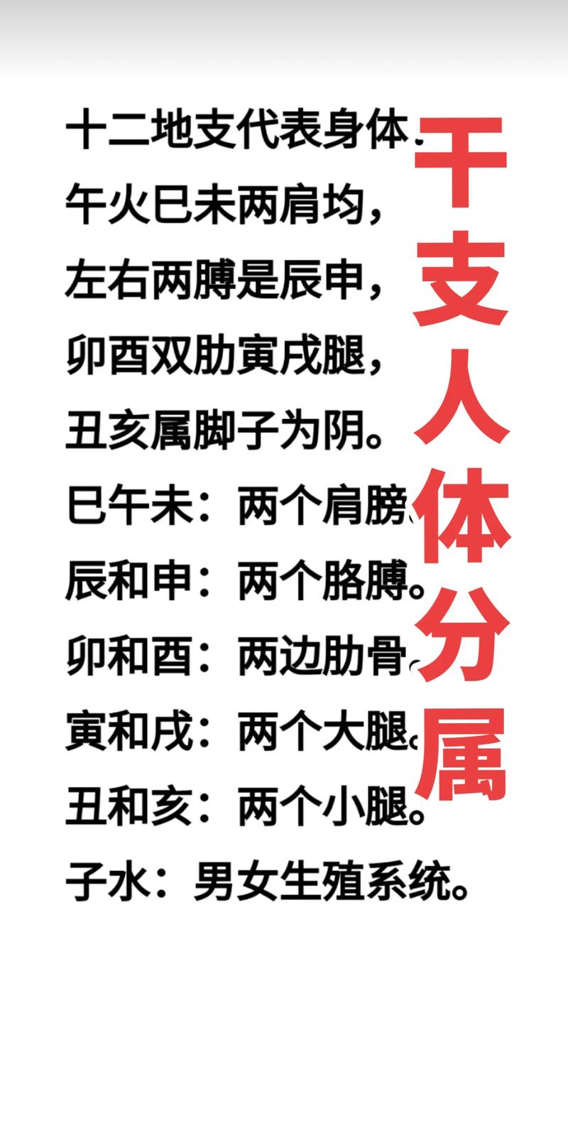 命运八字的科学原理 八字磁场决定命运