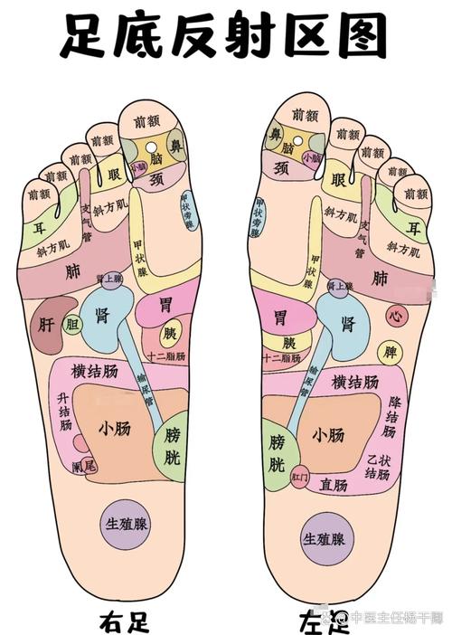 看脚趾头相算命图解 六个脚趾头的民间说法