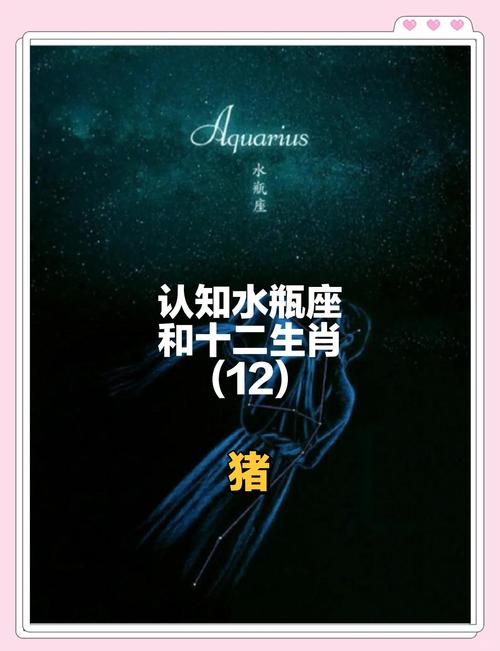 属猪水瓶座这星期的运势(属猪水瓶座这星期的运势和财运)
