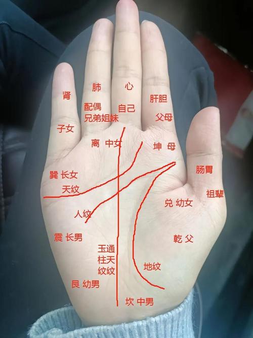 八字算命和手相算命相反(看手相与看八字相差很大)