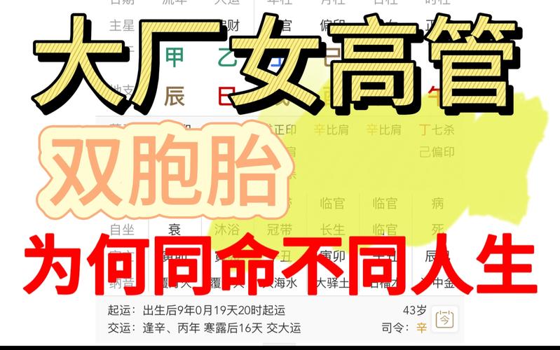 算命双胞胎 孕妇算命说是女孩