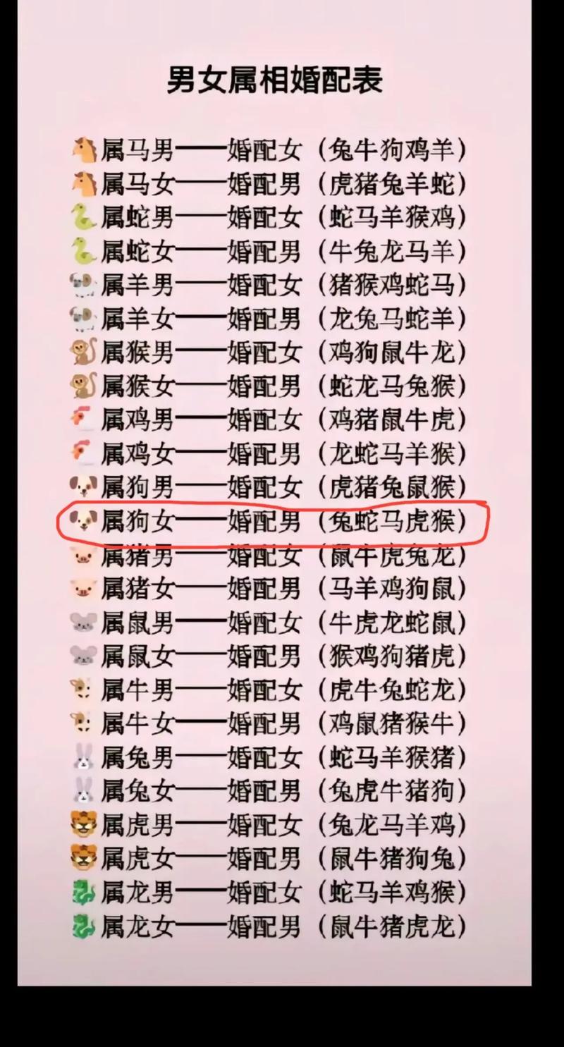 男猴女兔八字婚姻 2025年男兔女猴婚姻