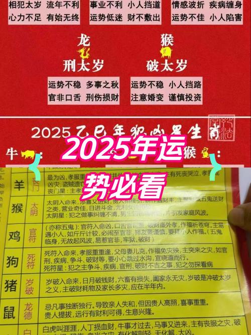 2025流年运势我的测算(运势2025年运势)