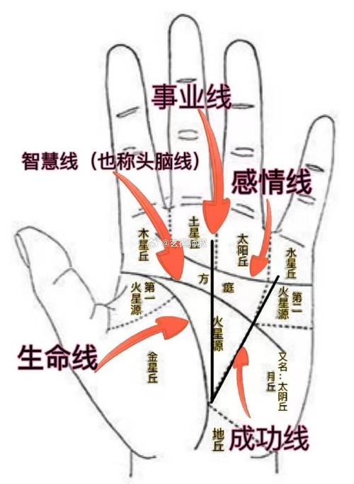 手相算命看不到事业线怎么办(手纹看不到事业线)