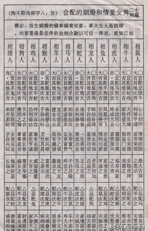 八字配对的基本要求(八字配对是什么意思)