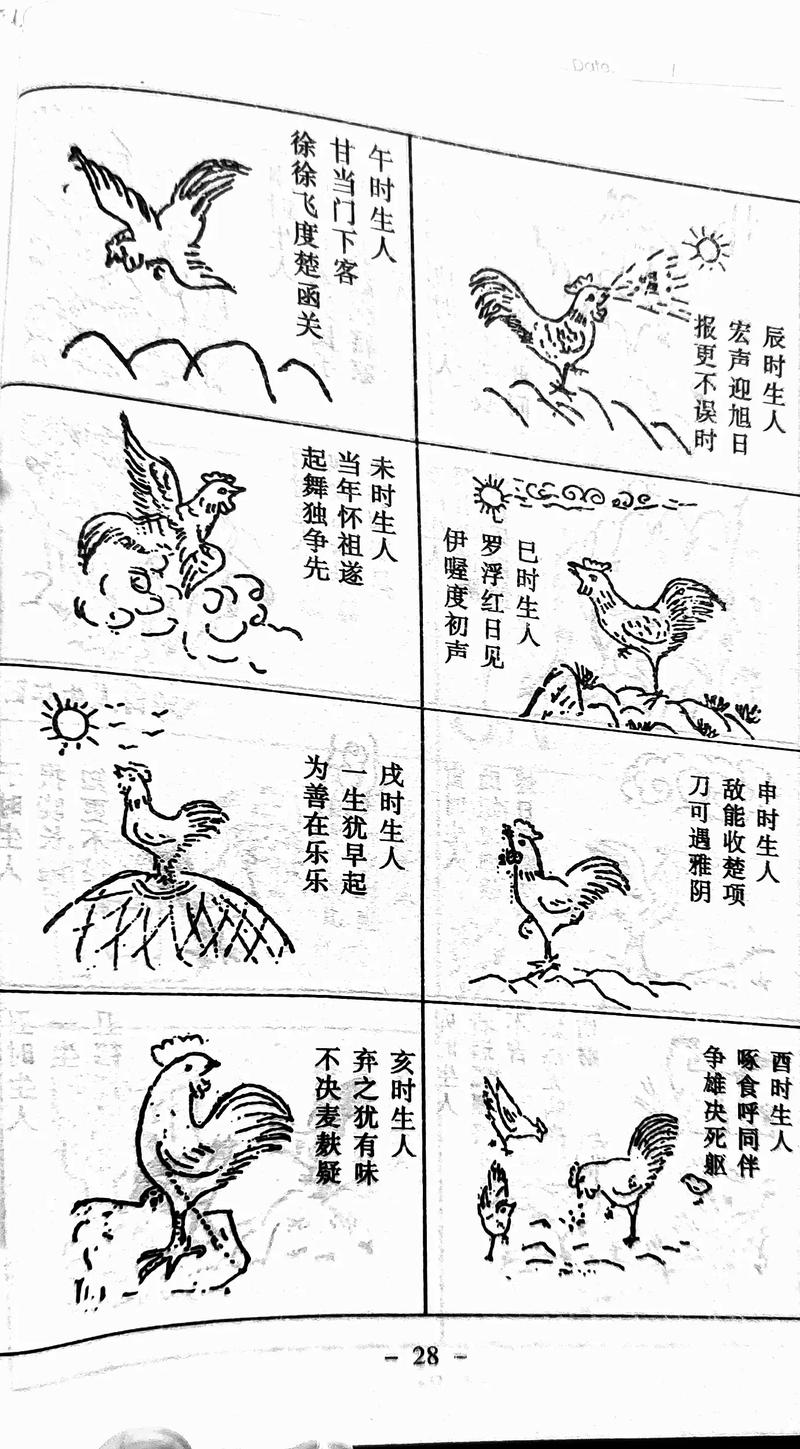 潮汕人怎么算八字算命(潮汕算八字是怎么算的)