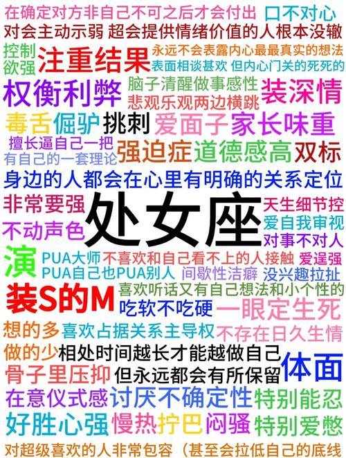 处女座外壳下的躁动灵魂：一个完美主义者的双面人生