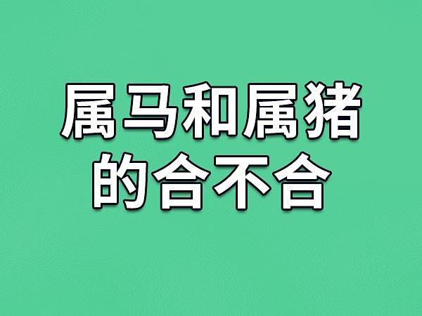 属猪和马财运合不合适呢 属猪的跟属马的人合不合是什么意思？