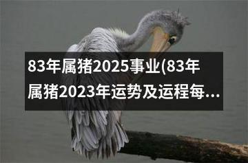 83属猪2025每月运势 83年属猪2025年每月运势如何详细是什么意思？