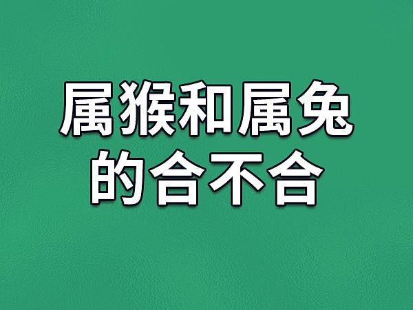 属兔和属猴的配对指数 一家四口属猴鸡蛇兔是什么意思？