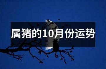 属猪10月出生的运势 农历10月属猪运程怎样是什么意思？