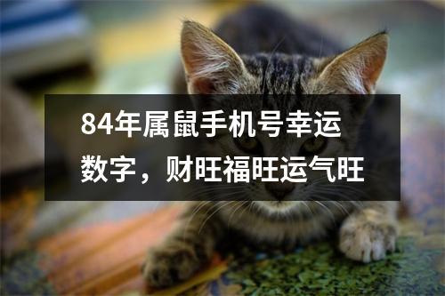 84年属鼠哪个数字旺财运 84年鼠哪年运势最旺是什么意思？