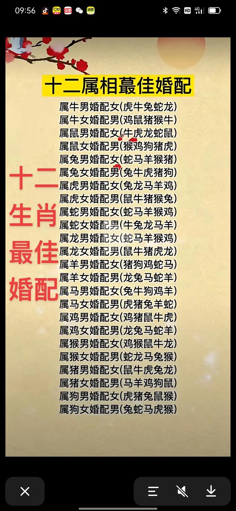 属猪配对牛 属猪的摩羯座男最佳配对是什么意思？