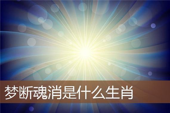 梦断魂消打一准确最佳生肖，词语解释解答落实 是什么意思？