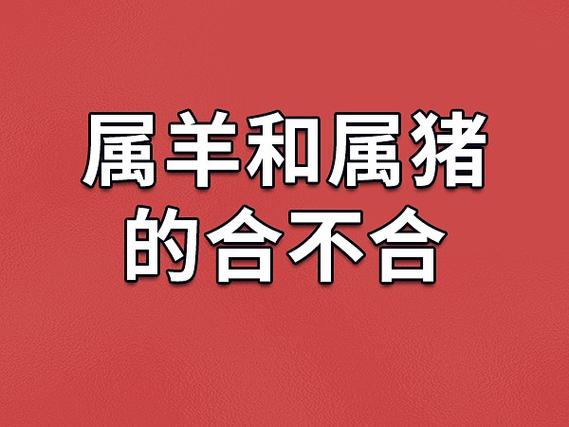 属猪女和属羊男财运如何 属羊和属猪的夫妻生个虎宝宝好吗是什么意思？