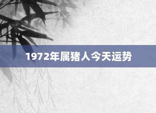 1972年属猪今年运势 71年属猪2024年最近运势是什么意思？