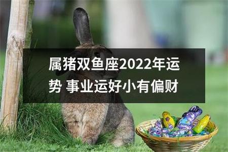 属猪2025双鱼运势 猪双鱼2024运势是什么意思？