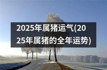 2025年属猪财运好不 属猪2025年全年运气是什么意思？