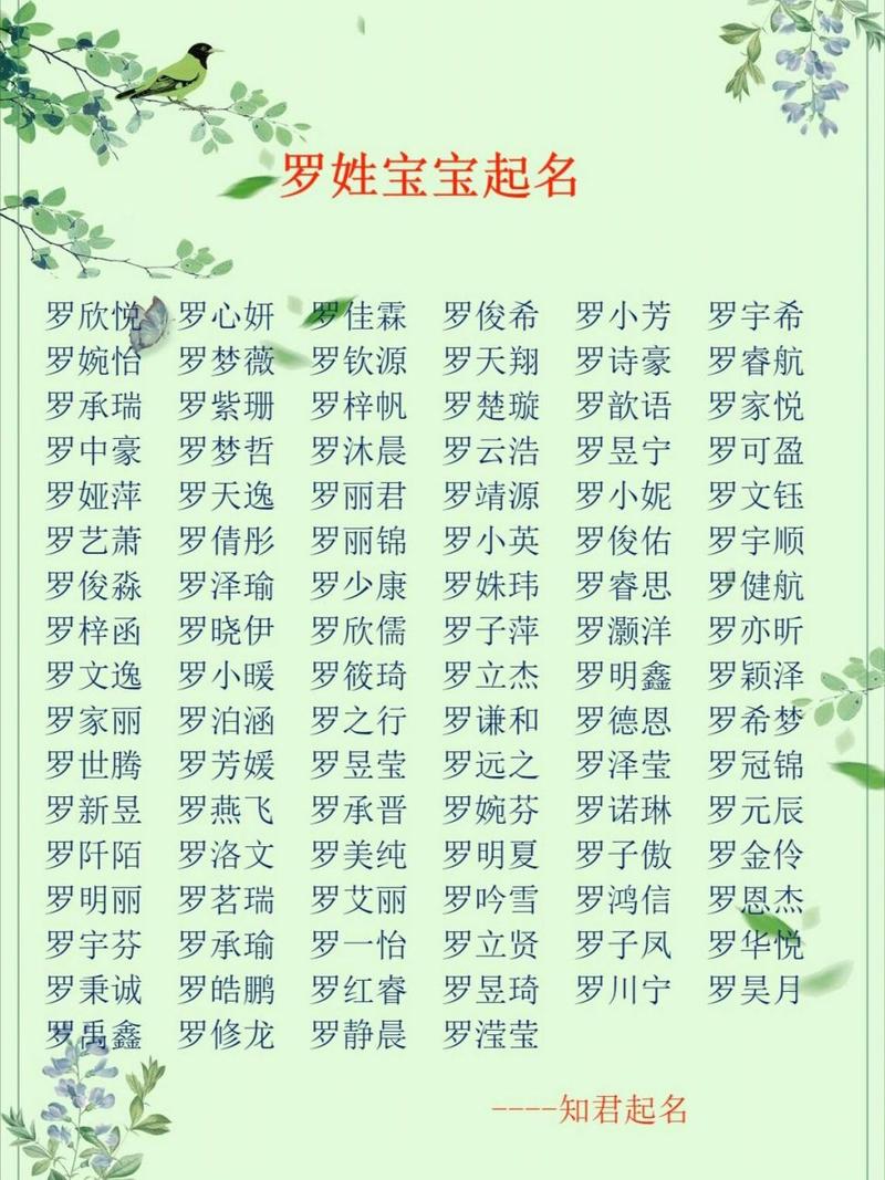 罗姓鸡宝宝起名大全 罗姓猴年儿童起名大全