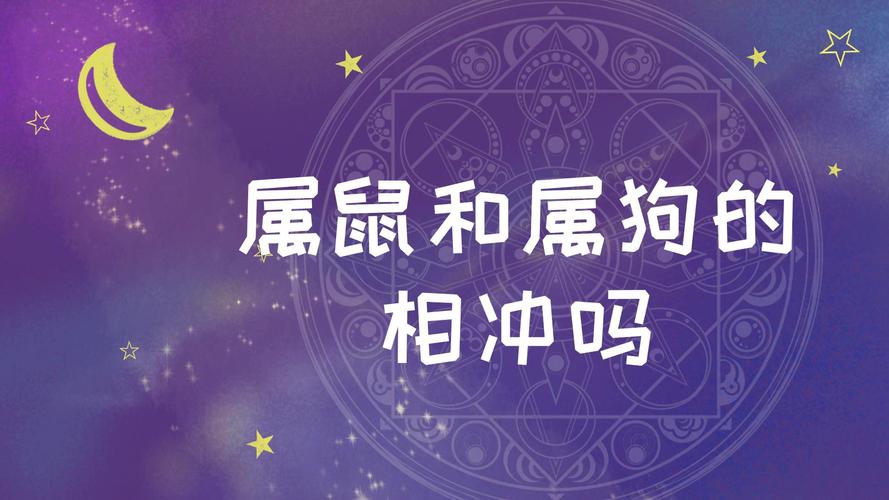 1972年属鼠1982年属狗配对 1982年属狗与1996年属鼠合适吗是什么意思？