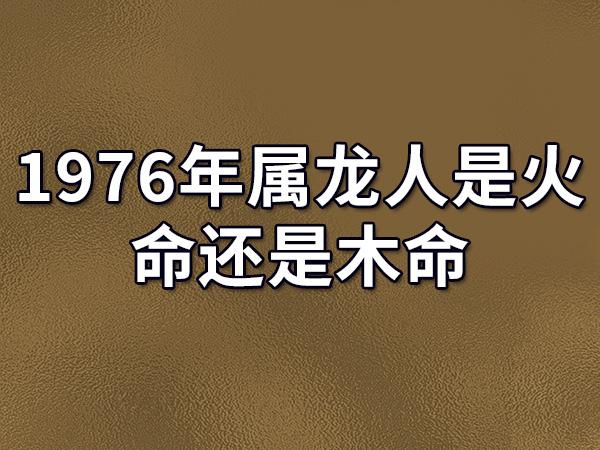 属龙的人与大海水命人 82年狗大海水命